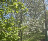 коттедж 58 кв м 