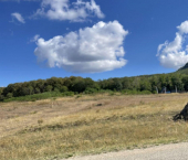 земля 8.5 сот 