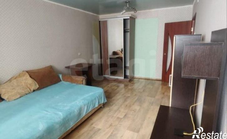 1-комн квартира ул Пушкина, 55/10,  д. 55/10