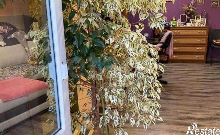 2-комн квартира ул Новая, 2А,  д. 2А