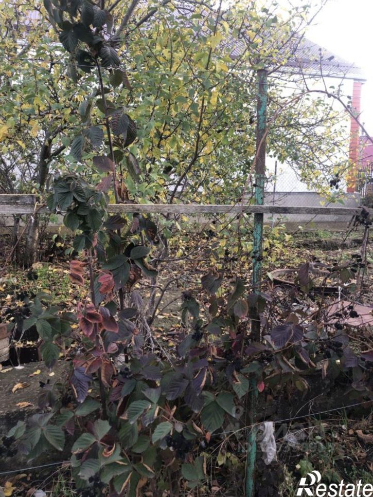 Земельный участок