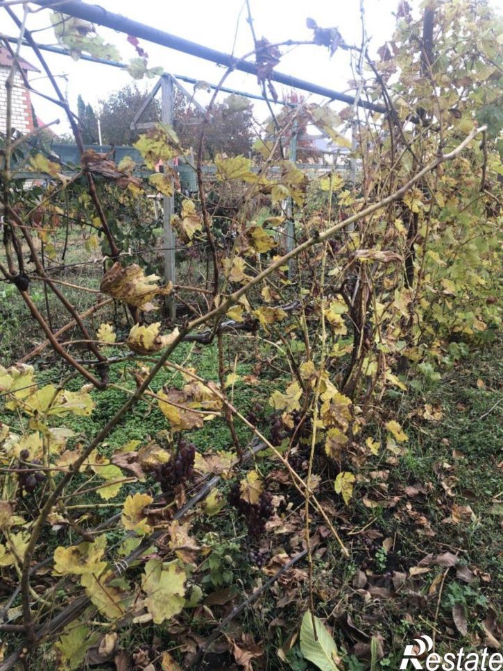 Земельный участок