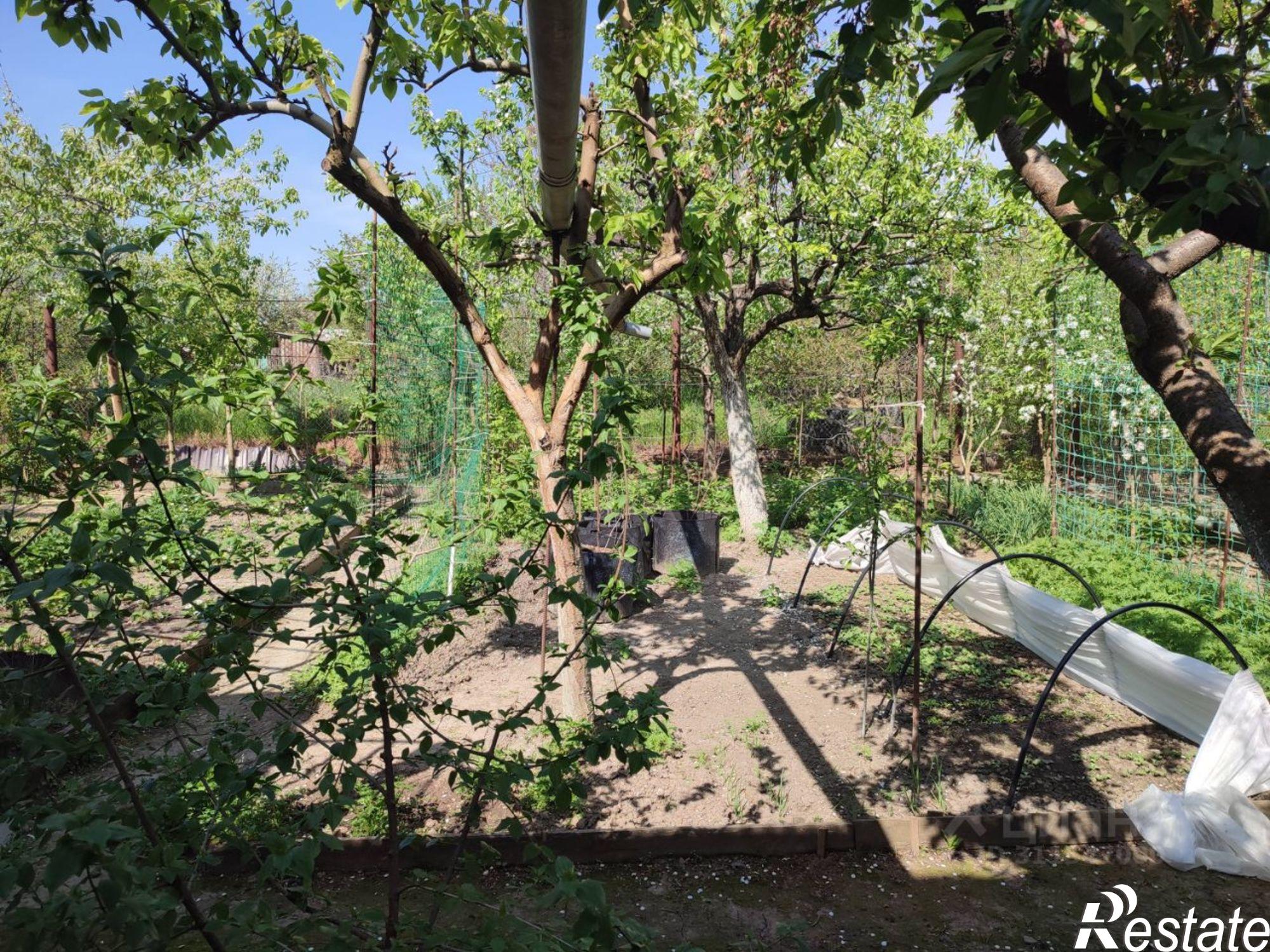 Купить дачу, дом, коттедж за 19 000 000 рублей на Будённовск