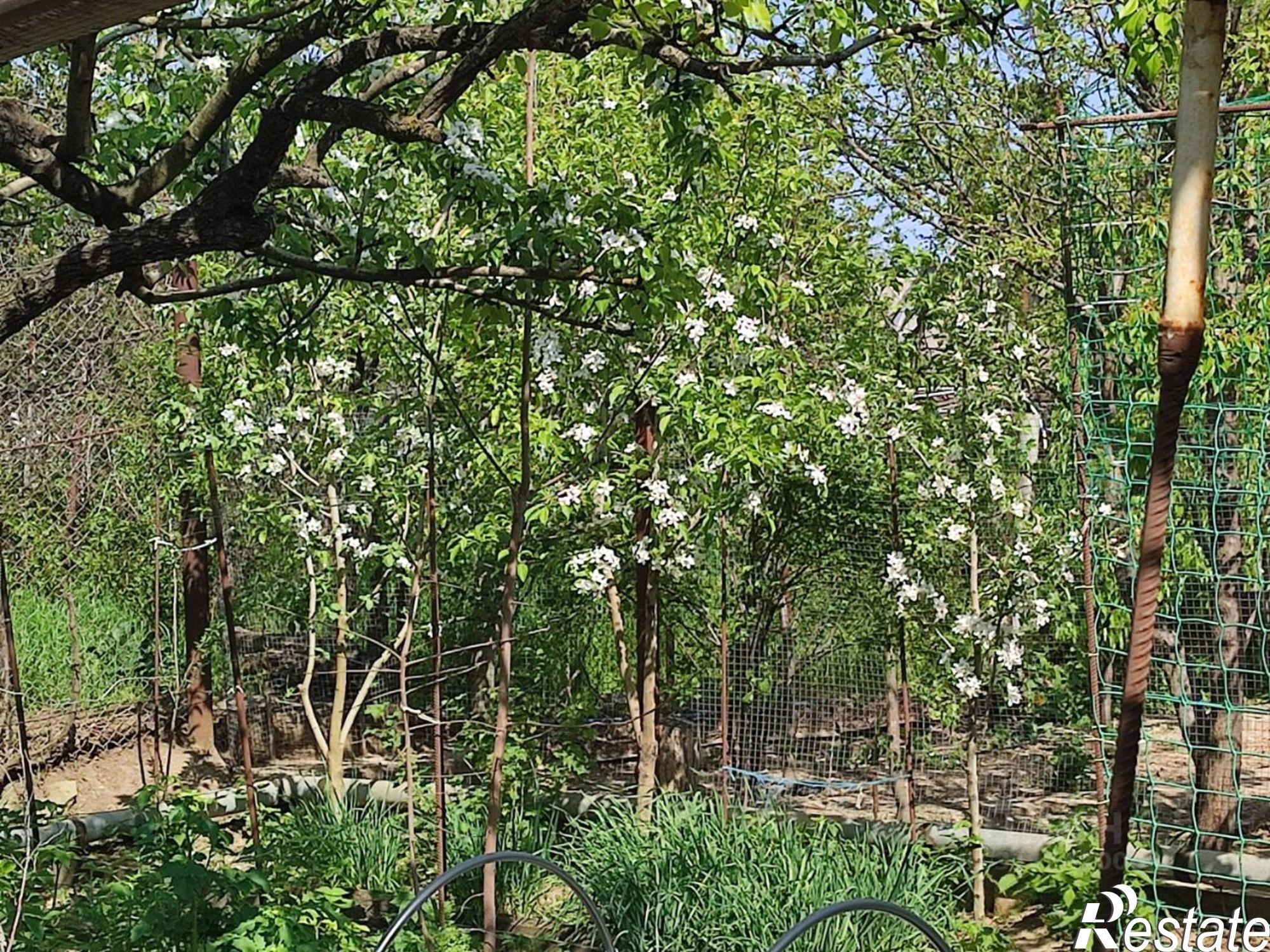 Купить дачу, дом, коттедж за 19 000 000 рублей на Будённовск
