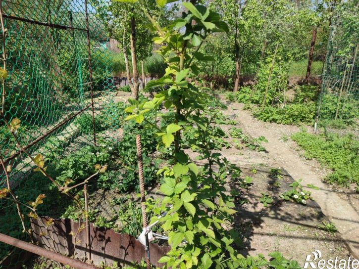 Коттедж/дом Будённовск