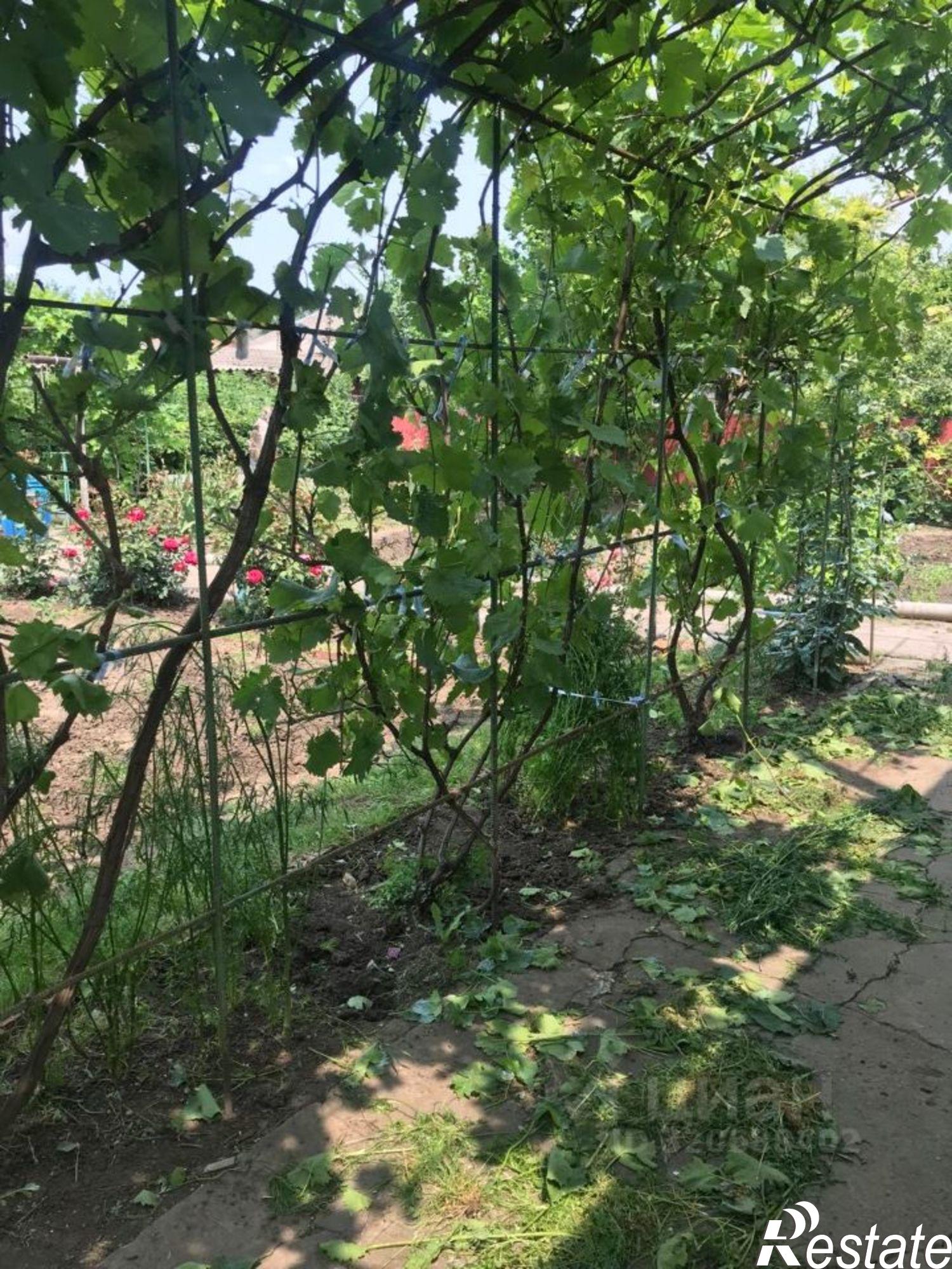 Купить дачу, дом, коттедж за 3 600 000 рублей