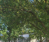 коттедж 107 кв м Базарная улица