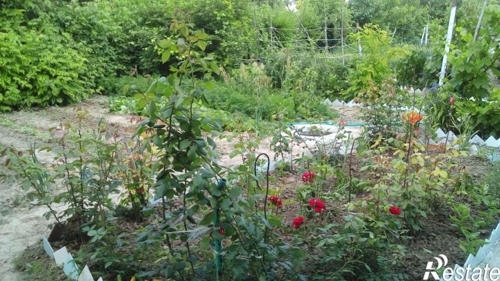 Коттедж/дом ул Новая, 20,  д. 20