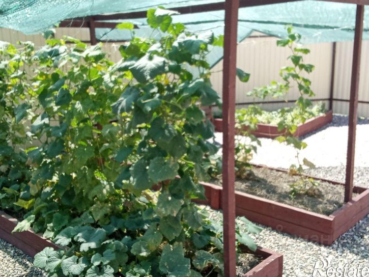 Коттедж/дом