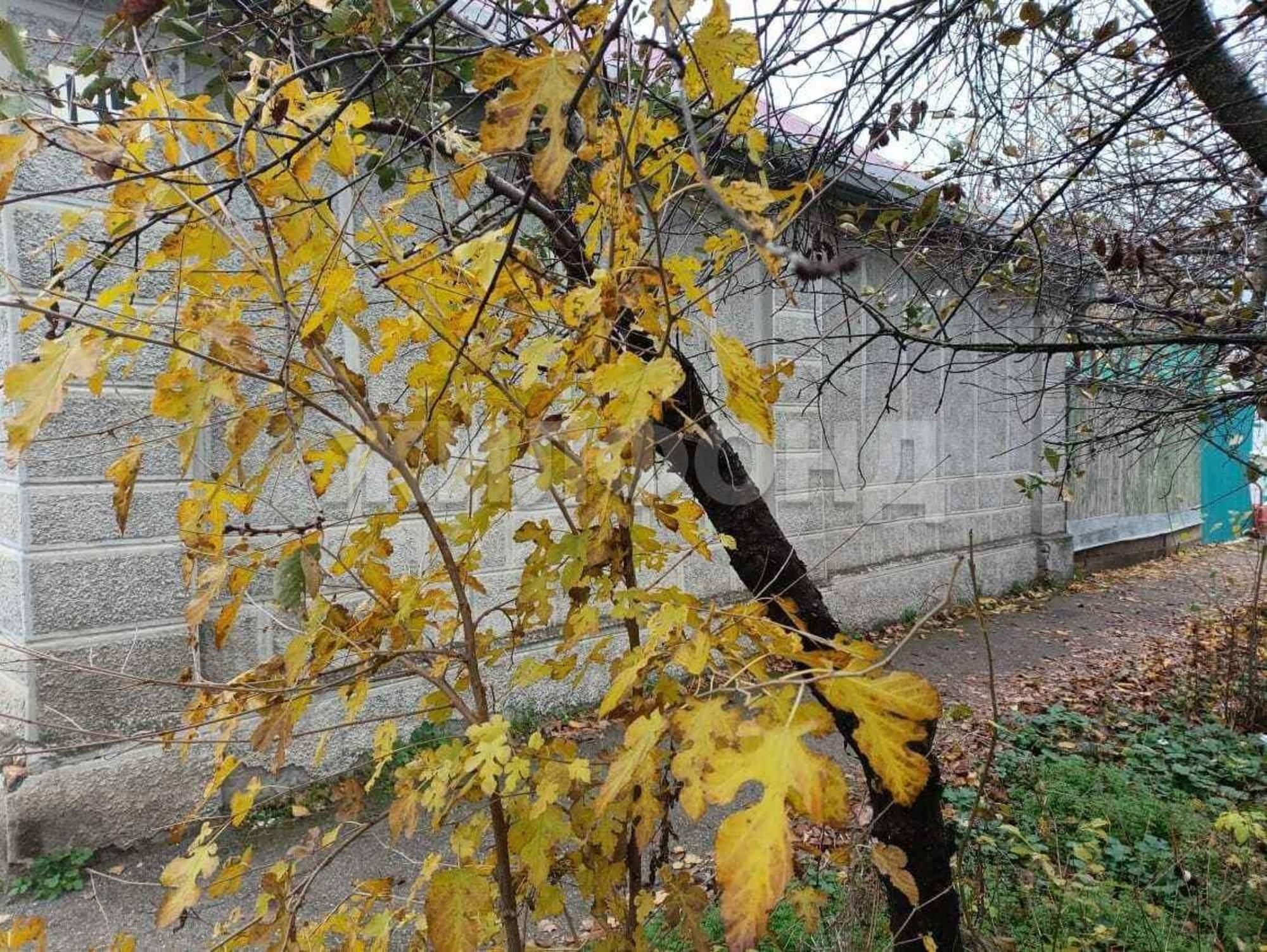 Купить дачу, дом, коттедж за 3 500 000 рублей на Ульянова улица