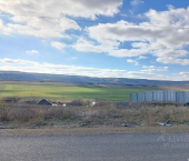 земля 12 сот 