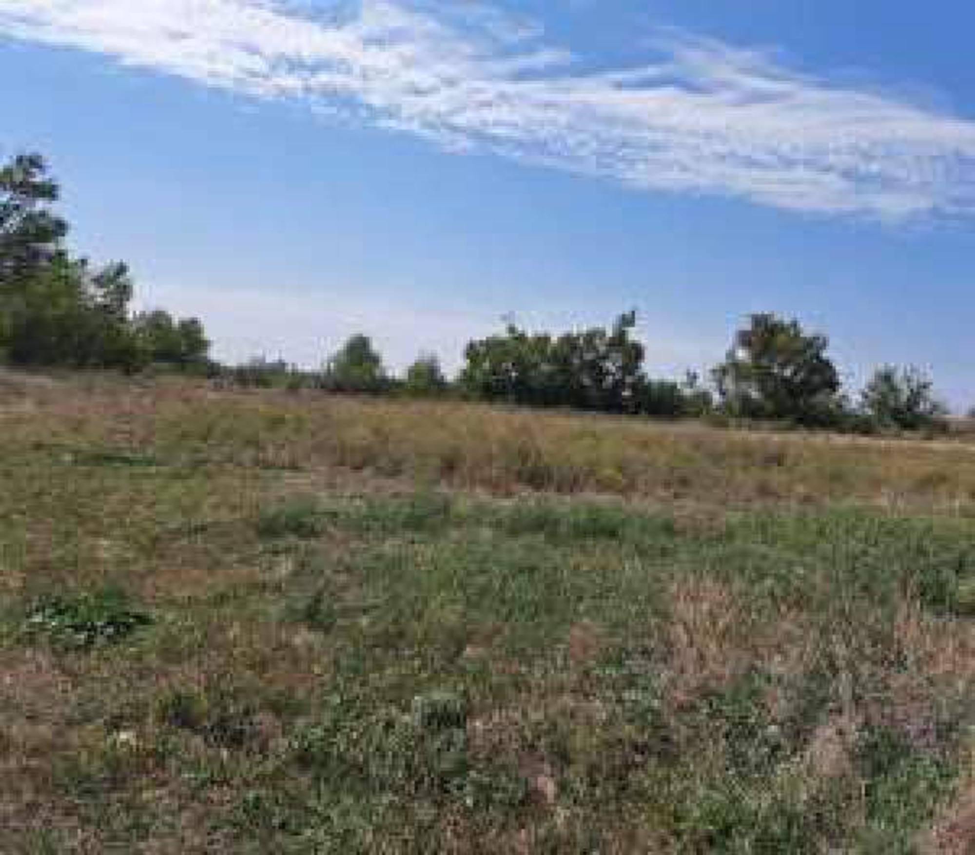 Купить землю, земельный участок за 35 572 000 рублей на Приозерная улица