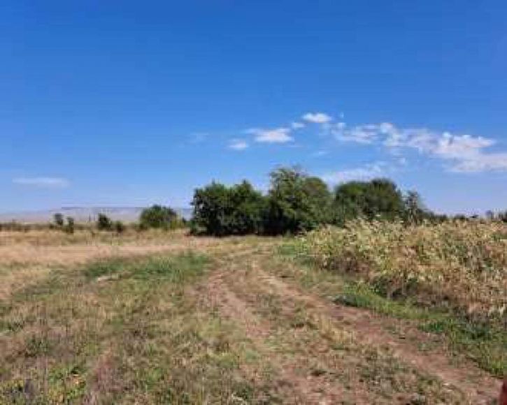 Земельный участок Приозерная улица