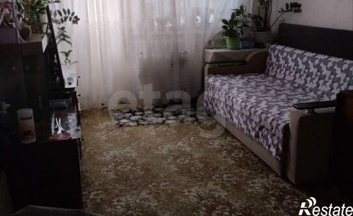 2-комн квартира ул Пушкина, 10,  д. 10