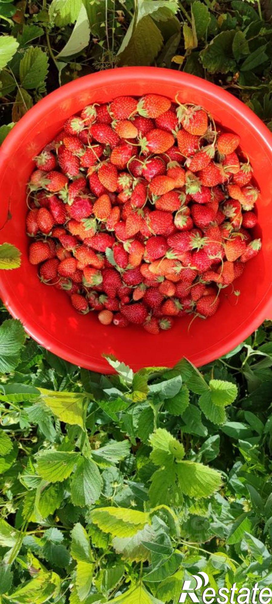 Купить дачу, дом, коттедж за 1 050 000 рублей