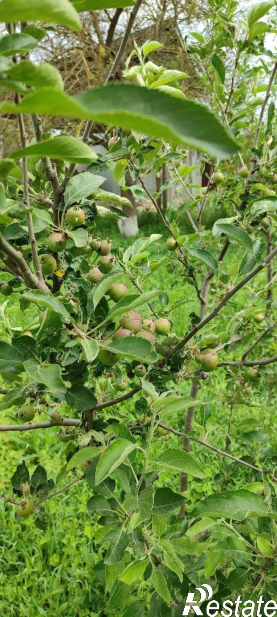 Купить дачу, дом, коттедж за 1 050 000 рублей