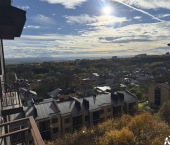 2-комн, 56кв м, этаж 7/7 улица Кленовая Роща, 6