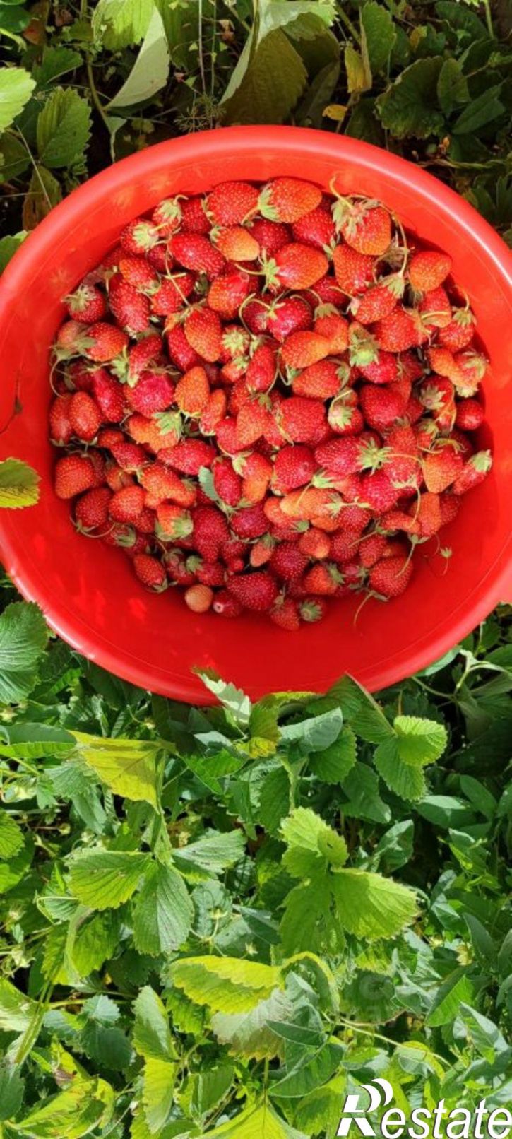 Коттедж/дом