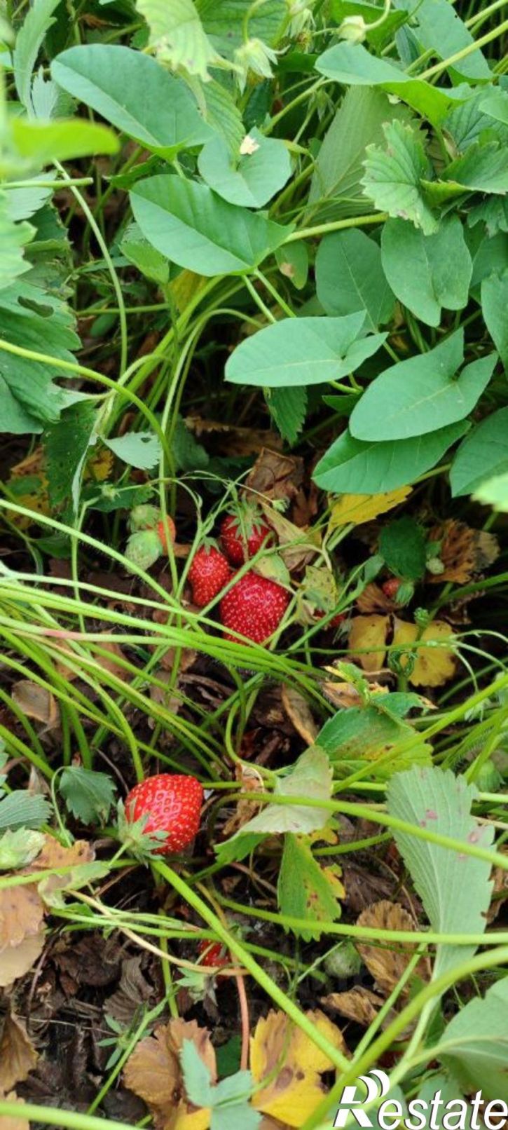 Коттедж/дом