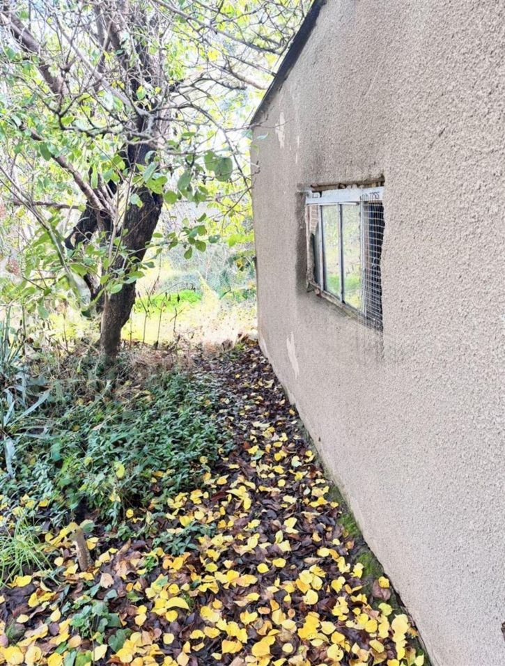 Коттедж/дом пер Дружбы, д. 5