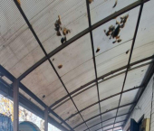 коттедж 75 кв м Ямский пер