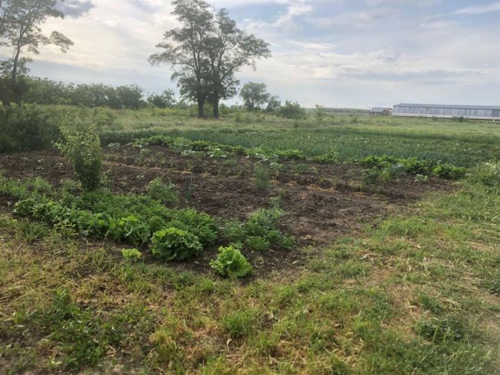 Коттедж/дом ул Октябрьская, д. 209