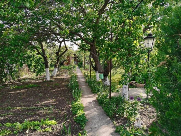 Коттедж/дом Осиновый пер.