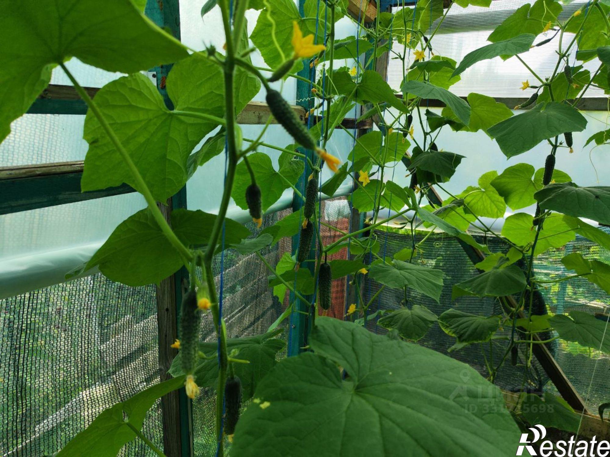 Купить дачу, дом, коттедж за 1 350 000 рублей на Невинномысск