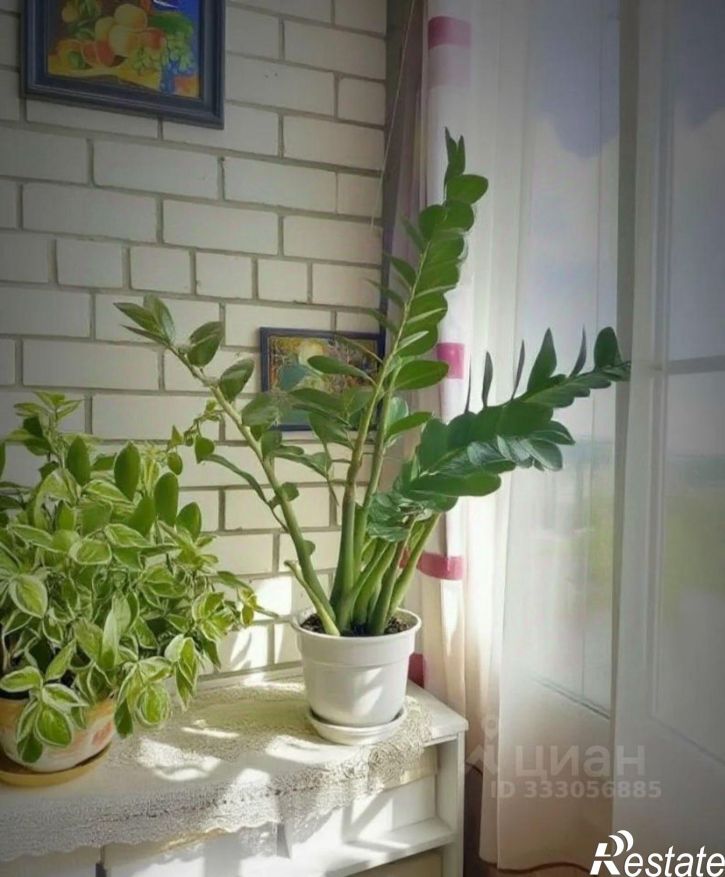 1-комн квартира Ставрополь г., Ленина ул., 482/1