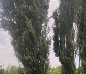 коттедж 80 кв м 