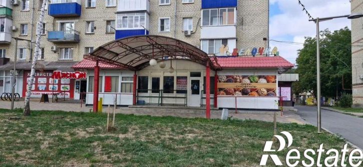 Торговое помещение улица Ленина, 100,  д. 100